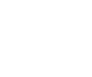 BAVS Logo