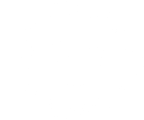 BAVS Logo